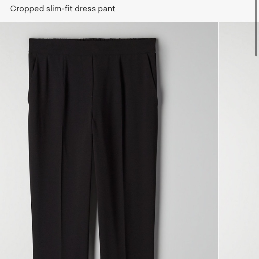Aritzia Babaton - Conan